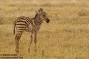 TANZANIA